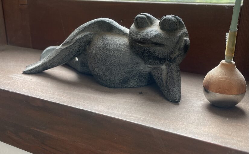 frog photo